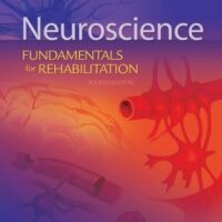 Manual Solution Neuroscience: Fundamentals for Rehabilitation 4 by Laurie Lundy-Ekman PhD PT