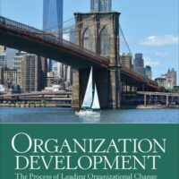 Full Download Manual Solution Organization Development: The Process of Leading Organizational Change 4 by Donald L. Anderson