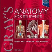 Full Download Test Bank Gray's Anatomy for Students 5 by Richard L. Drake, A. Wayne Vogl, Adam W. M. Mitchell