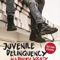 Manual Solutions for Juvenile Delinquency in a Diverse Society 2 by Kristin A. Bates, Richelle S. Swan