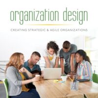 Full Download Manual Solution Organization Design: Creating Strategic & Agile Organizations 1 by Donald L. Anderson