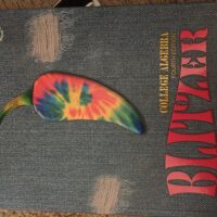 Manual Solutions for College Algebra 4 by Robert F. Blitzer